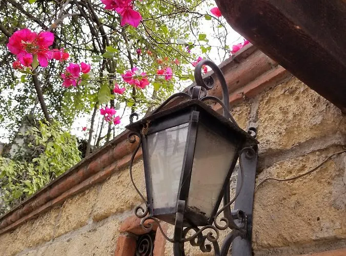 Casa Q 3*